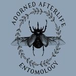 𝘋𝘢𝘯𝘪𝘦𝘭𝘭𝘦 𝘚𝘢𝘣𝘰 - @adornedafterlife - Instagram