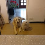 Daniele Sachs - Facebook