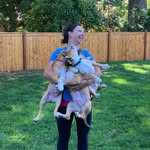 Danielle Sack - @this.girllovesdogs - Instagram