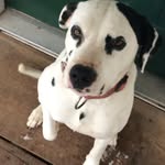 Hailey Danielle Salyer - @haileydaniellesalyer - Instagram