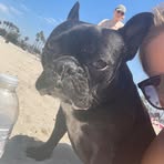 Danielle Sarver - Facebook