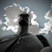 Daniele Sasso - Facebook