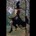 Danielle Schauer - Facebook