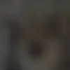 user987263044436 - @danielle_schhwe - TikTok