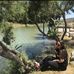 Daniella Shifman - Facebook