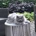 Danielle Schlemmer - Facebook