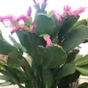 danielleschloemer - @danielleschloemer - TikTok