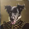 Danielle Schmitt - @danielleschmitt22 - TikTok