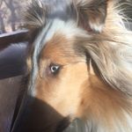 Danielle Schmitt - @daniellesfinsta9 - Instagram