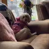 Danielle Taarud Schu - @danielletaarudschuman - TikTok