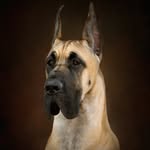 Danielle Schweitzer - @schweitzer_images - Instagram