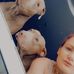 Danielle Scott - Facebook