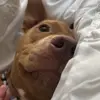 danielle - @danielle.seale - TikTok