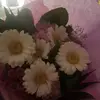 Danielle seddon - @isabel_flower1 - TikTok