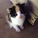 Danielle Seguin - @dsseguin - Instagram