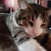 Danielle S - @danielleseibert6 - TikTok
