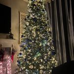 Danielle Seibert - @danielle_s_ - Instagram
