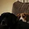 Danielle Seiple - @danielleseiple - TikTok