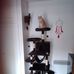 Daniele Senn - Facebook