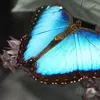 daniellesevier0322 - @daniellesevier0322 - TikTok