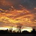 Danielle Shanklin - Facebook