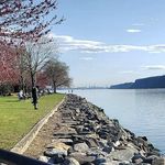 Danielle Shelton - @line_and_grace - Instagram