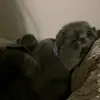 danielle - @danielle...sheridan - TikTok