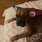 danielle - @_danielle.sherrill - Instagram