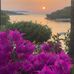 Daniela Shima - Facebook