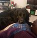 Danielle Shope - Facebook