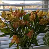 Danielle Shore289 - @deeshore - TikTok