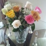 Danielle Showers - @dfshowers - Instagram