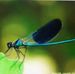 Simonetti Danielle - Facebook