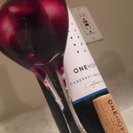 Danielle Silverman - @joinedatthesip - Instagram