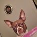 Danielle Sorenson - Facebook