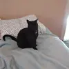 Danielle Speakman 24 - @danielle.speakman - TikTok