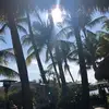 Danielle Russo - @daniellerussospera - TikTok