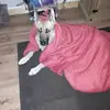 Kids_Only_Account - @daniellespiers4 - TikTok