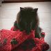 Danielle Siohn - Facebook