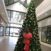 Danielle Monyepao Mamaregane - Facebook