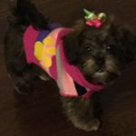 Gabby Danielle Spruill - @gabbydanielle.spruill - Instagram