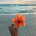 Peyton Danielle Squire - @xcloudy_bracelets - Instagram