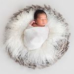 Danielle Stahl BabyPortraiture - @daniellestahlbabyportraiture - Instagram