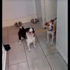 daniellestaley299 - @kaylem.9 - TikTok