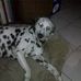 Daniele Steinbach - Facebook