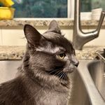 Danielle Stansberry - @ceramicgalstudio - Instagram