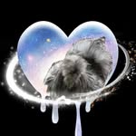 Danielle Stansbury - @animal_kingdom63 - Instagram
