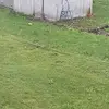 Danielle Stapleton - @danielle.stapleto1 - TikTok