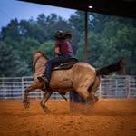 Danielle Stapp - @danielle_stapp - Instagram