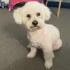 Danielle Starkey - @daniellestarkey1 - TikTok